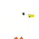 an ugly duck